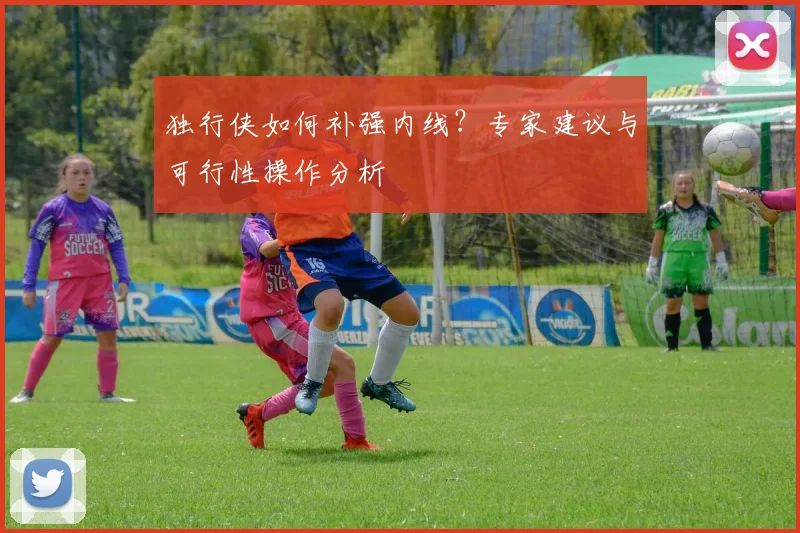 独行侠如何补强内线？专家建议与可行性操作分析