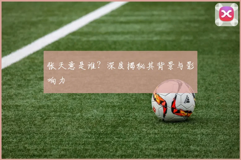 张天意是谁？深度揭秘其背景与影响力
