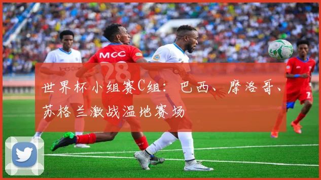 世界杯小组赛C组:巴西、摩洛哥、苏格兰激战温地赛场